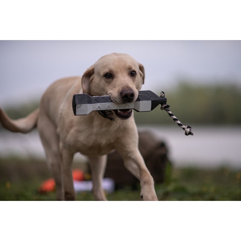 Kiképző gumi bumper Flasher kutyák számára – feketefehér 2