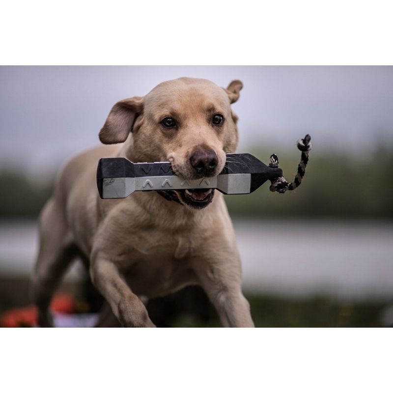 Kiképző gumi bumper Flasher kutyák számára – feketefehér 3