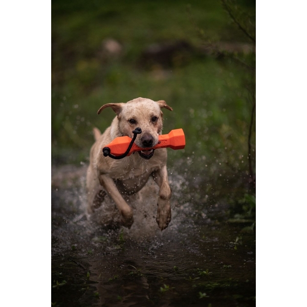  Kiképző gumi bumper kutyáknak – Narancssárga 1