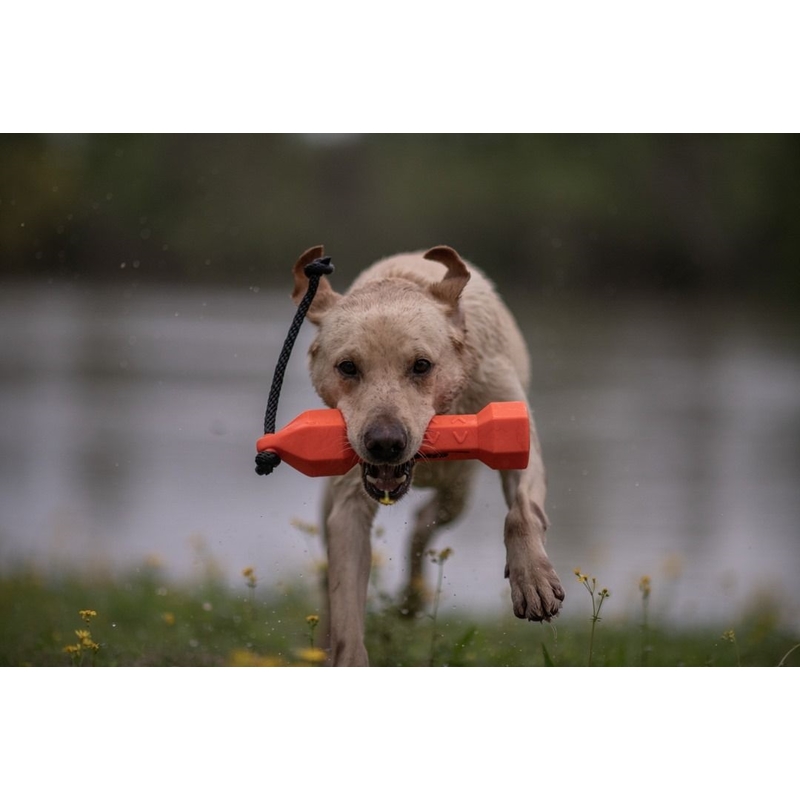  Kiképző gumi bumper kutyáknak – Narancssárga 3