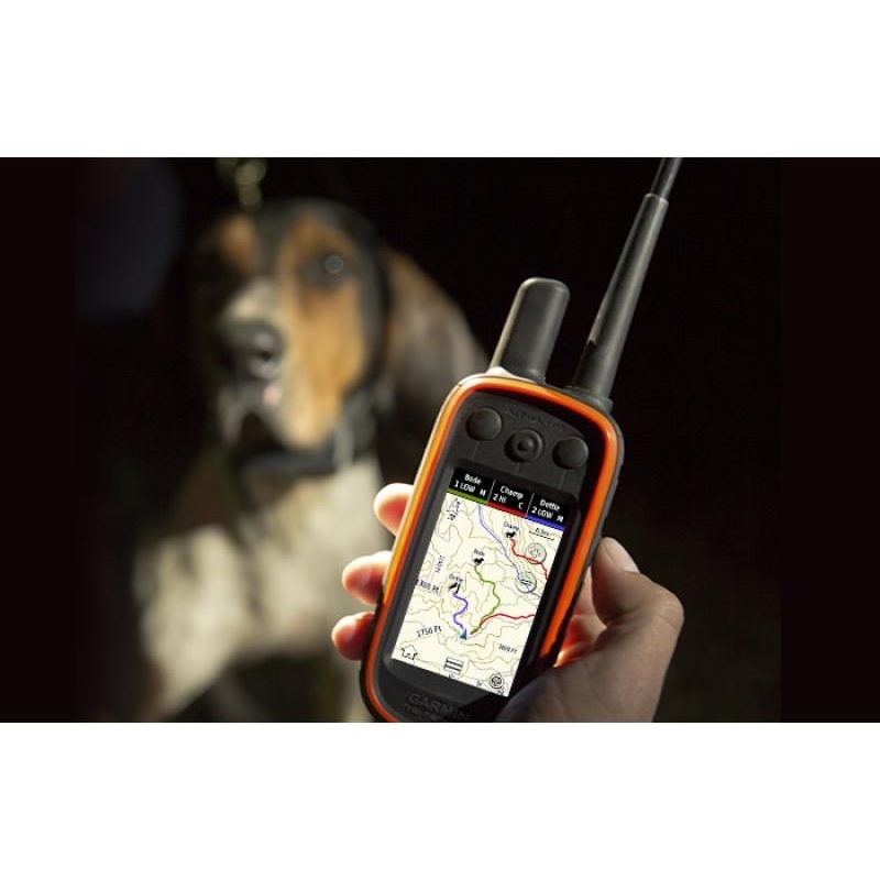 GPS nyakörv Garmin Alpha 100 + TT15(mini) + SK/EU TOPO 4